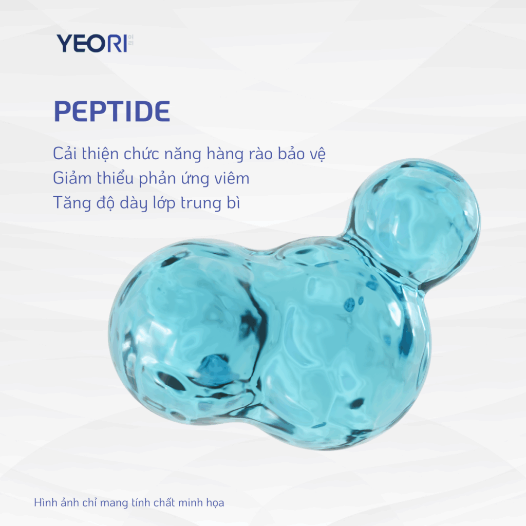 PEPTIDE: GIẢI PHÁP KÍCH THÍCH TĂNG SINH COLLAGEN VÀ PHỤC HỒI ĐỘ ĐÀN HỒI
