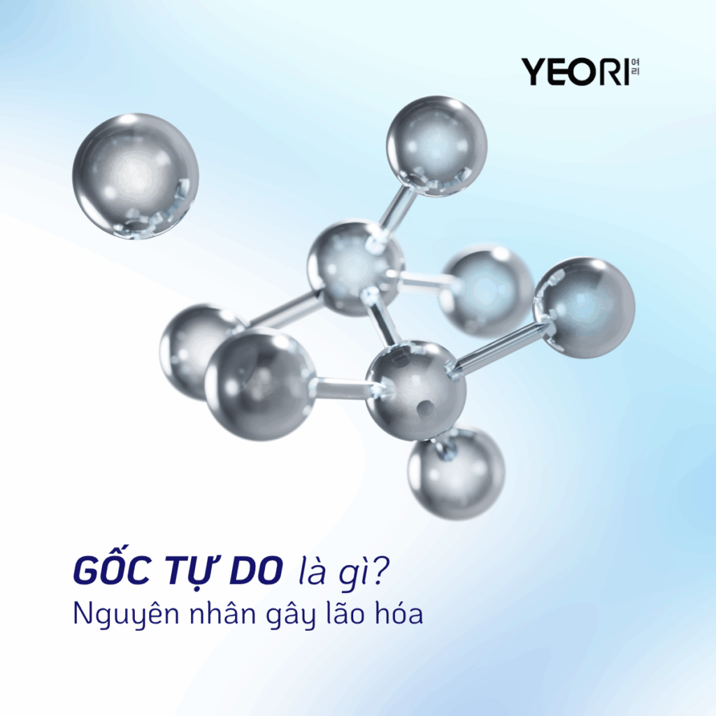GỐC TỰ DO LÀ GÌ? NGUYÊN NHÂN GÂY LÃO HÓA DA VÀ CÁCH PHÒNG CHỐNG